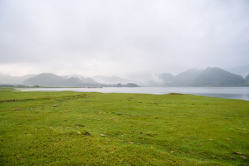 世界最奇葩的五大动物