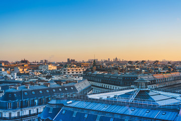 高一生物《细胞的分化》教学设计