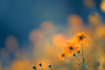 两个人互相暗恋有什么特征？