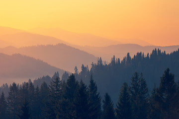 饮食健康手抄报简单