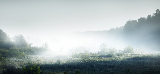 迪士尼和迪斯尼有什么区别