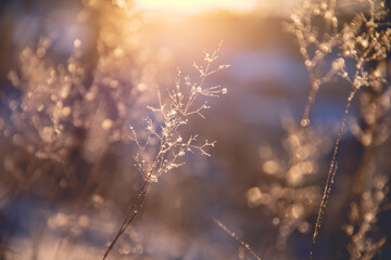 一些励志的句子