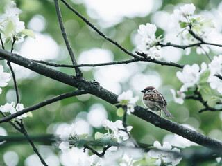 二年级一班最简单的手抄报 最简单的手抄报