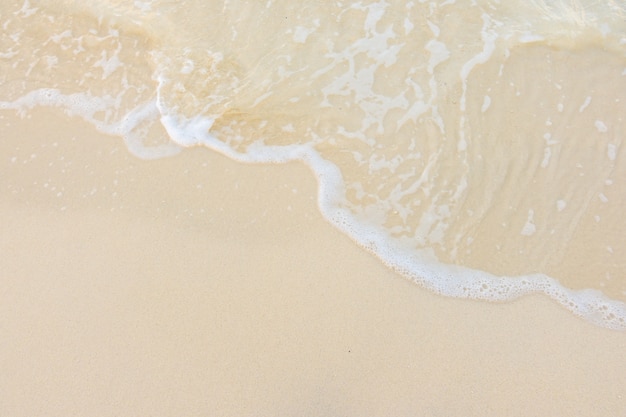 哪些养生知识适合在秋季发给顾客？