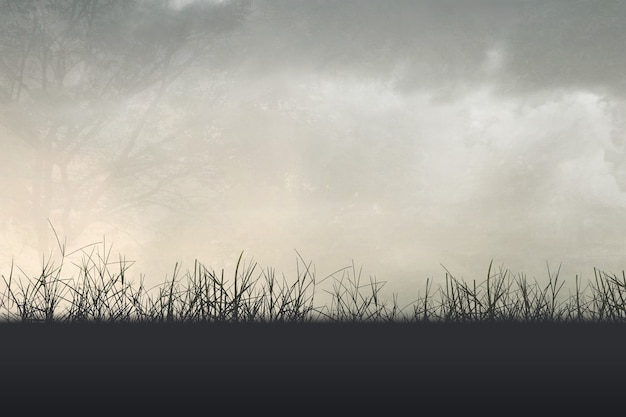 新房装修后如何让家更宜居？