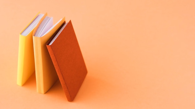 汉朝第11任皇帝汉元帝简介