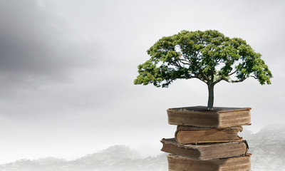 新房装修后如何让家更宜居？