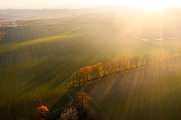汉朝第11任皇帝汉元帝简介