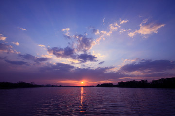 高一生物《细胞的分化》教学设计
