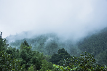 世界最奇葩的五大动物